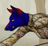Alicodus