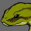 Anantha's avatar