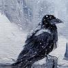 ArcticRaven