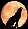 BarkAtTheMoon