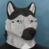 CanisLupisVulpe's avatar