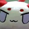 CatKnight21