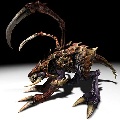 DangZerglings
