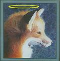 Fallenfox's avatar