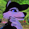 HuskyDocherty