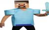 MinecraftGamer235