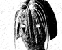 N_Rel's avatar