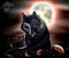 PhantomWolf