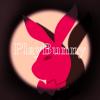 PlayBunny