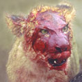 PreyKill's avatar