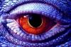 ReptileKing23