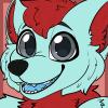 RubenTheHusky