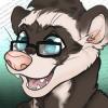 RuffledFerret
