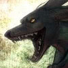Shuck's avatar