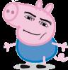 SomeDerpyFool