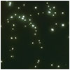 Star_Sage