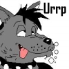 Wolfgang's avatar