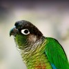 claypenguin69's avatar