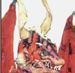 drac