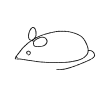 lint231