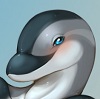 mistydolphin