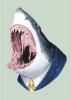 sharky