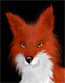 that_fox