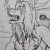 timid-wolf