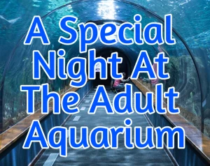 A Special Night At The Adult Aquarium