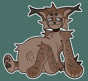 Active Lynx Belly