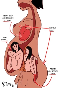jo anatomy