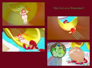 This Cat Loves Watersides!!