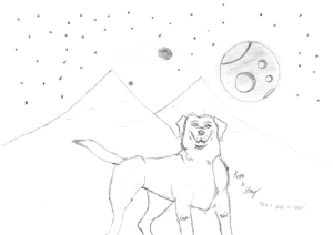 Kota Against a Starry Sky