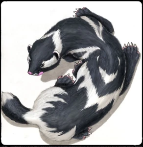 Strega_pic_small.sized
