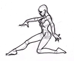 female anatomy 2