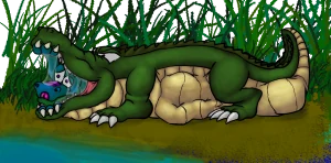Z has problems with gators