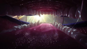 In-Maw Mini Animation
