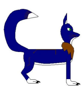 Kora