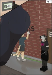 11