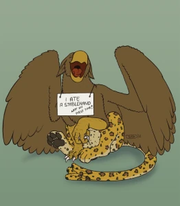 Belo pet shaming