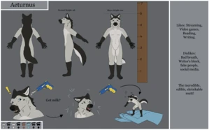 Main Ref 2
