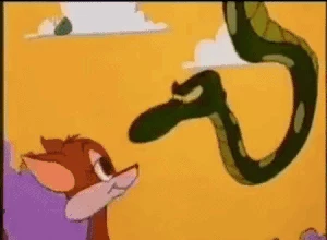 Tazmania